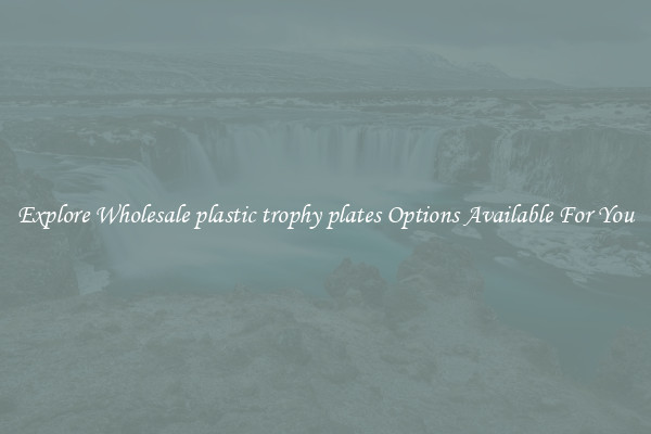 Explore Wholesale plastic trophy plates Options Available For You