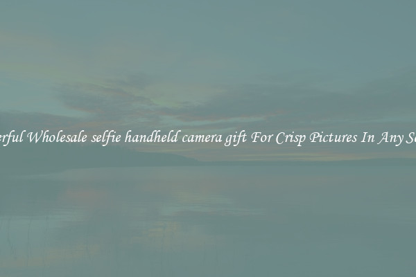 Powerful Wholesale selfie handheld camera gift For Crisp Pictures In Any Setting