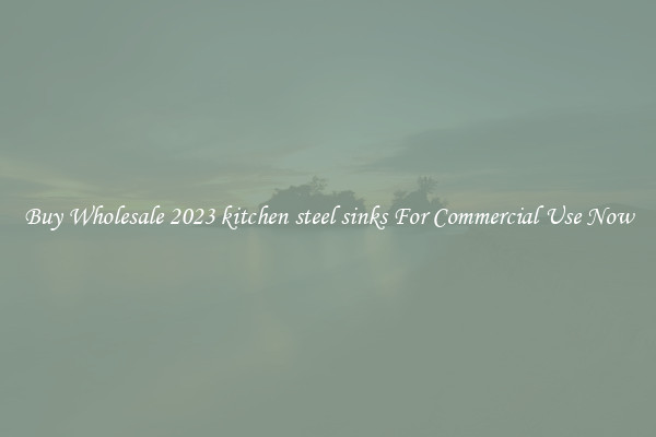 Buy Wholesale 2023 kitchen steel sinks For Commercial Use Now