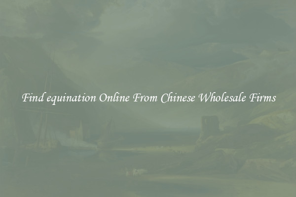 Find equination Online From Chinese Wholesale Firms
