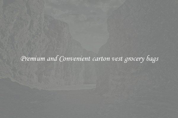 Premium and Convenient carton vest grocery bags