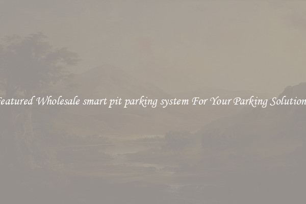 Featured Wholesale smart pit parking system For Your Parking Solutions 