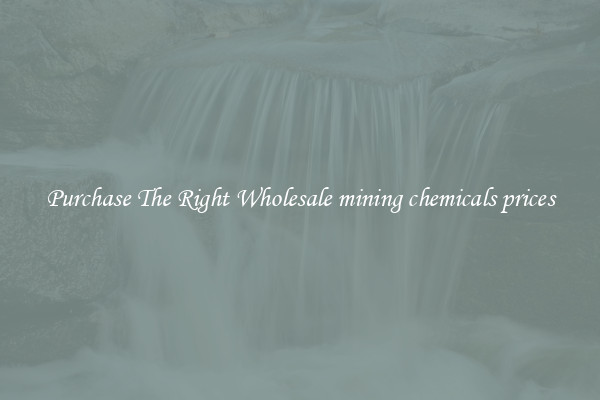 Purchase The Right Wholesale mining chemicals prices