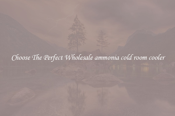 Choose The Perfect Wholesale ammonia cold room cooler