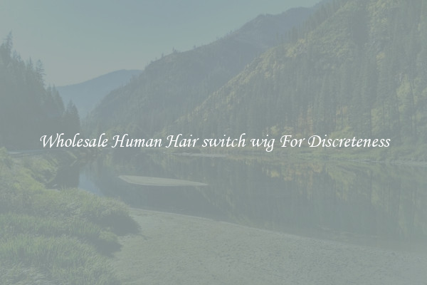 Wholesale Human Hair switch wig For Discreteness
