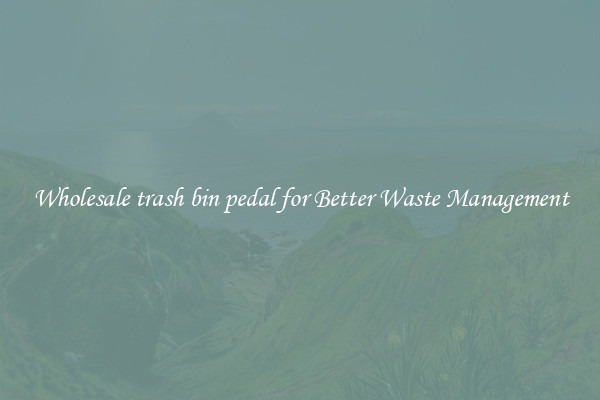 Wholesale trash bin pedal for Better Waste Management