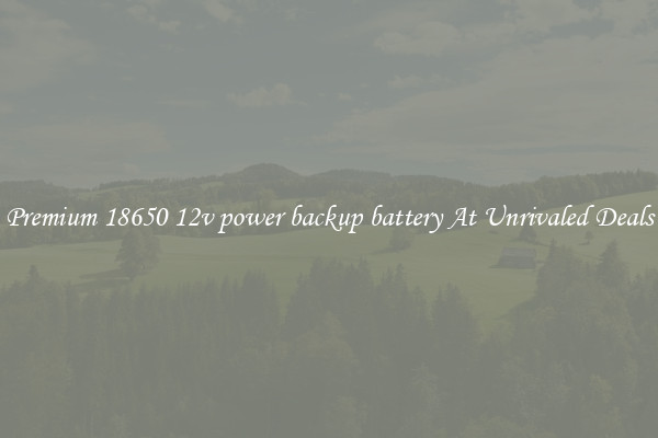 Premium 18650 12v power backup battery At Unrivaled Deals