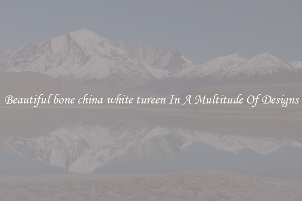 Beautiful bone china white tureen In A Multitude Of Designs