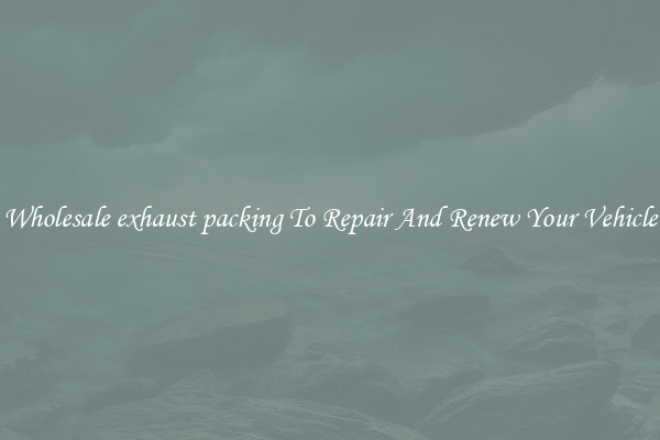 Wholesale exhaust packing To Repair And Renew Your Vehicle