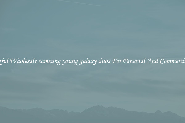 Powerful Wholesale samsung young galaxy duos For Personal And Commercial Use