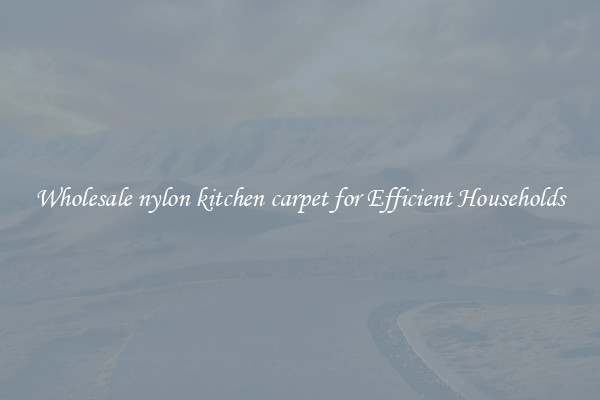 Wholesale nylon kitchen carpet for Efficient Households