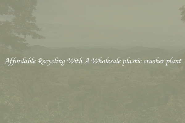 Affordable Recycling With A Wholesale plastic crusher plant