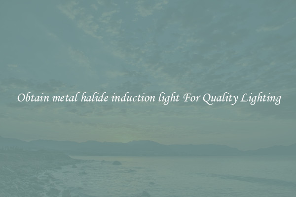 Obtain metal halide induction light For Quality Lighting