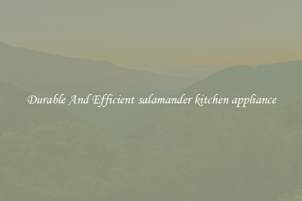 Durable And Efficient salamander kitchen appliance