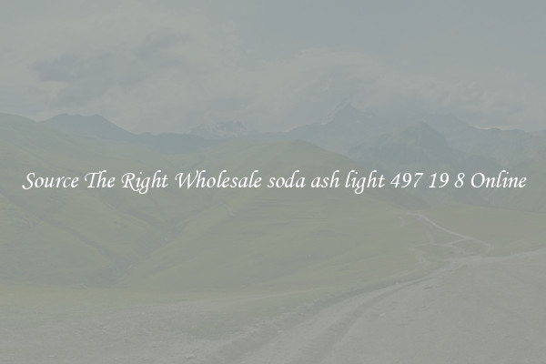 Source The Right Wholesale soda ash light 497 19 8 Online